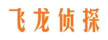 道县市调查公司